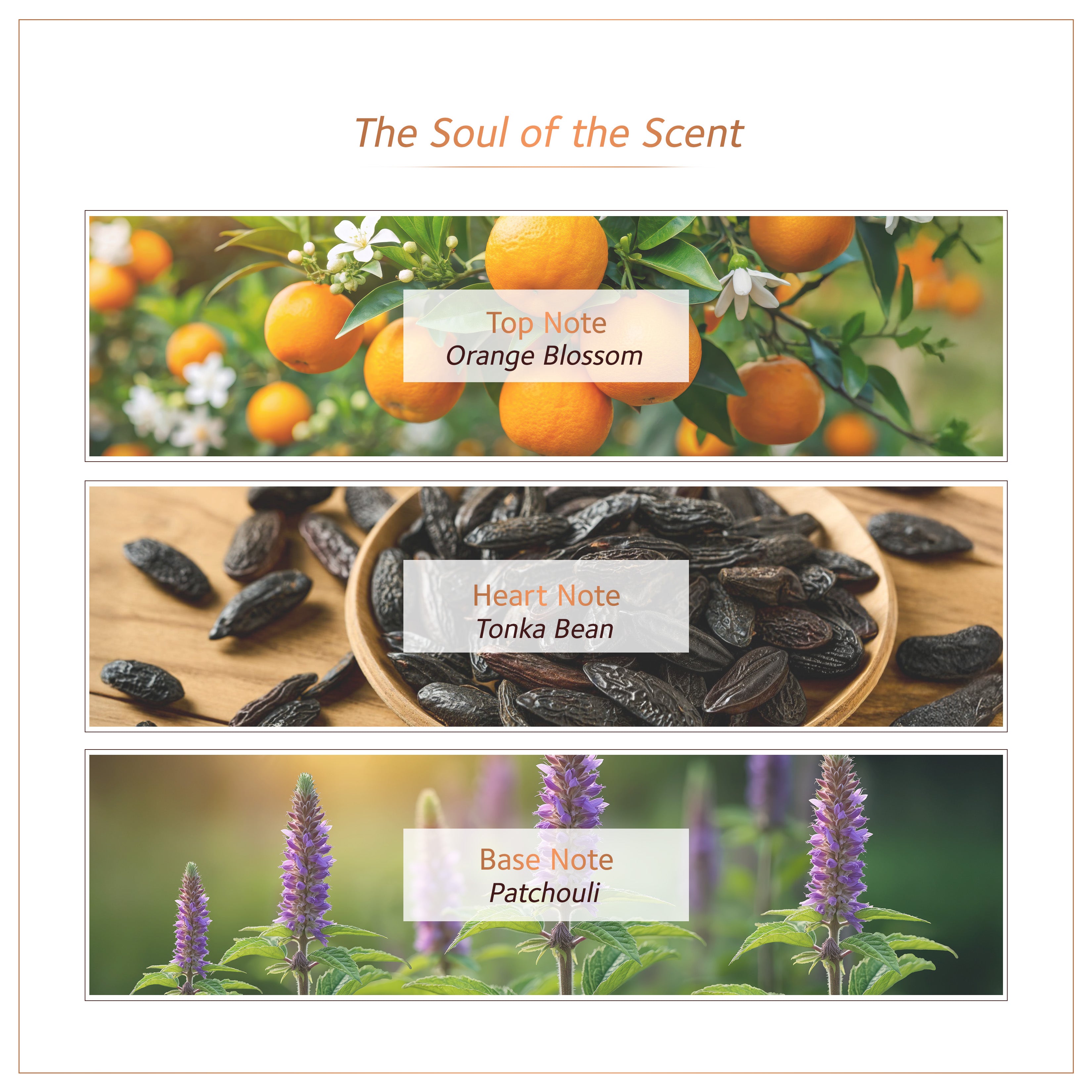 Soultree Ayurvedic Body Mist Amara Breeze