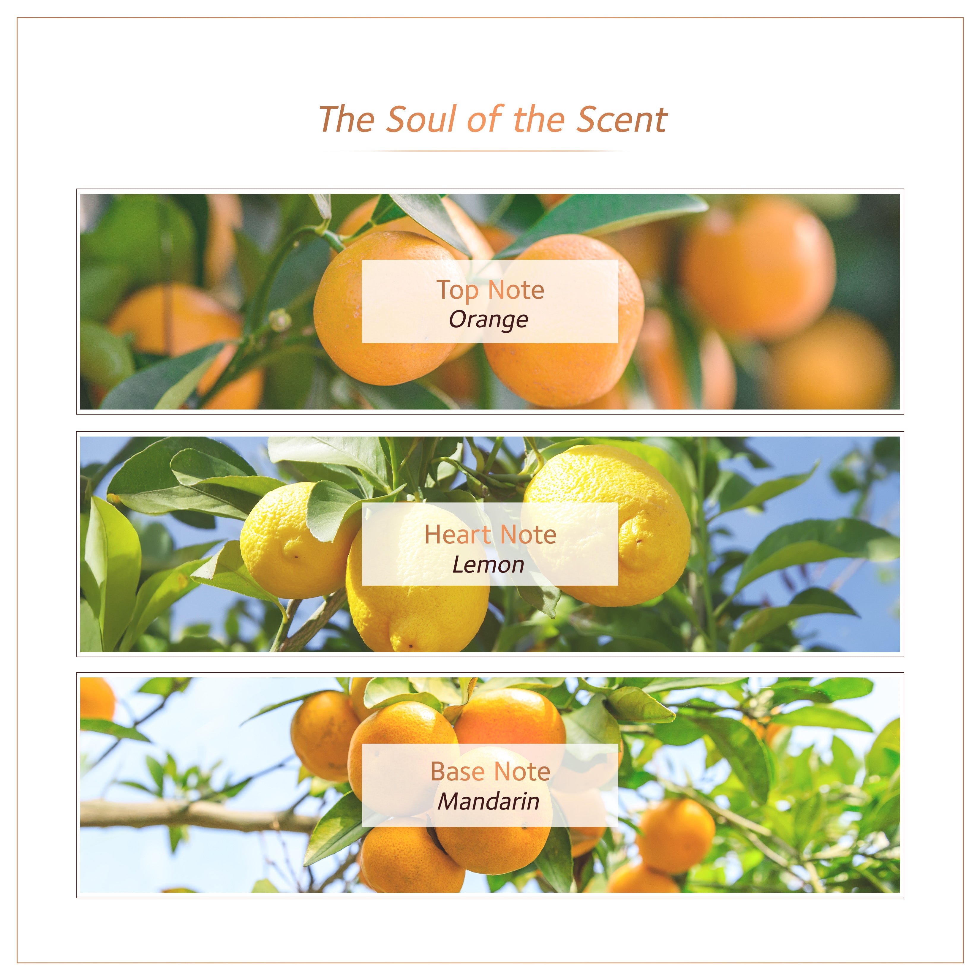 Soultree Ayurvedic Body Mist Citrus Chakra