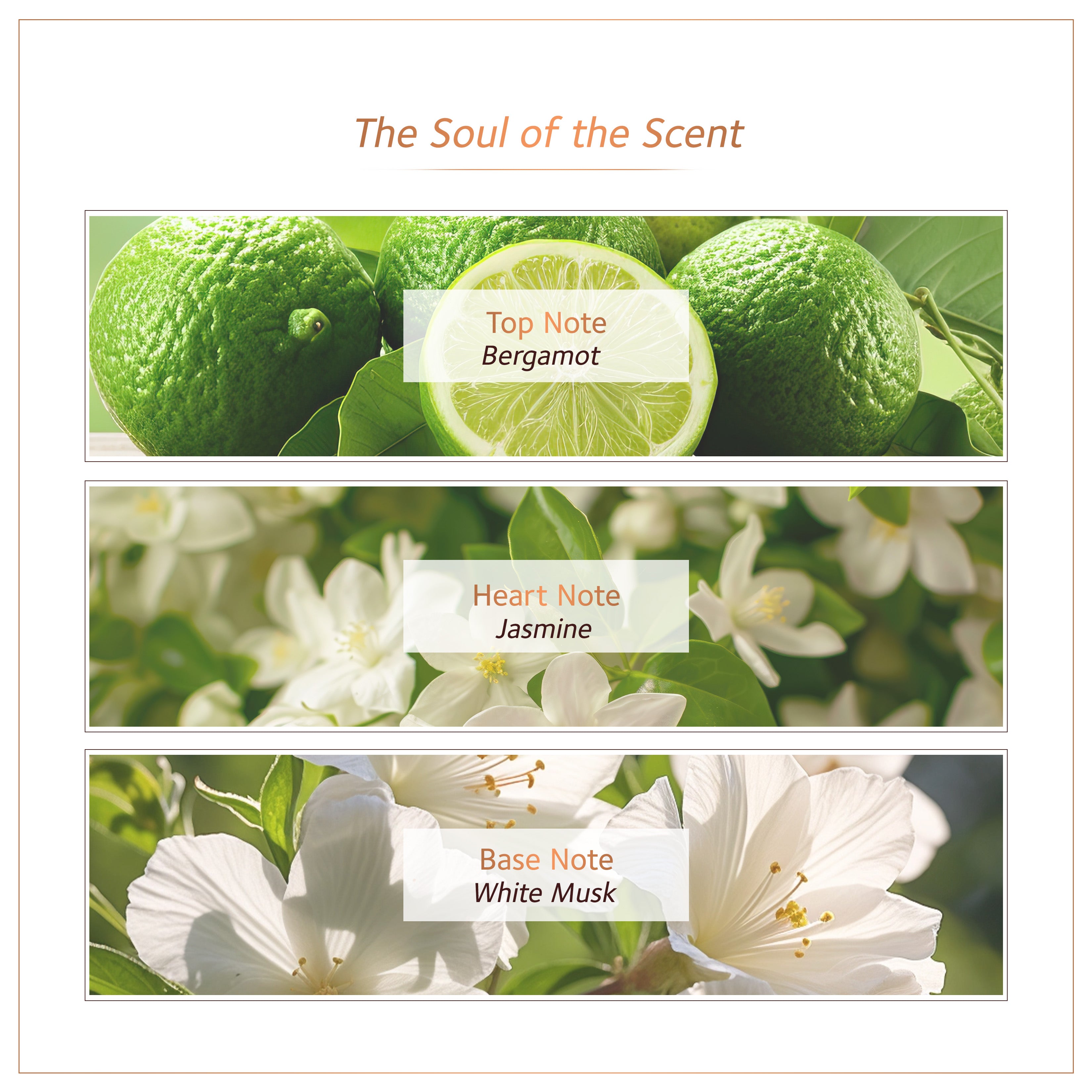 Soultree Ayurvedic Body Mist Kasturi Rendezvous