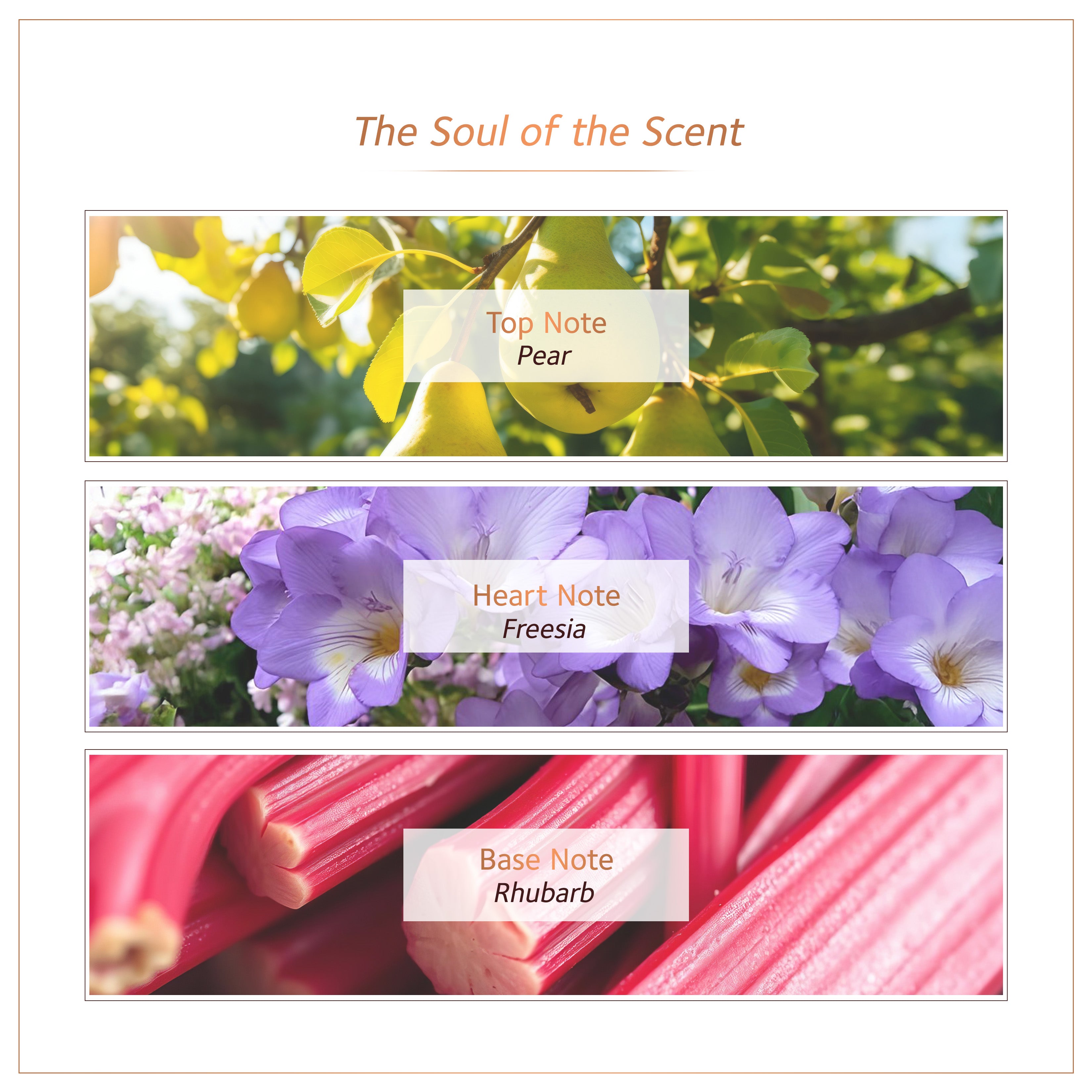 Soultree Ayurvedic Body Mist Rasa Allure