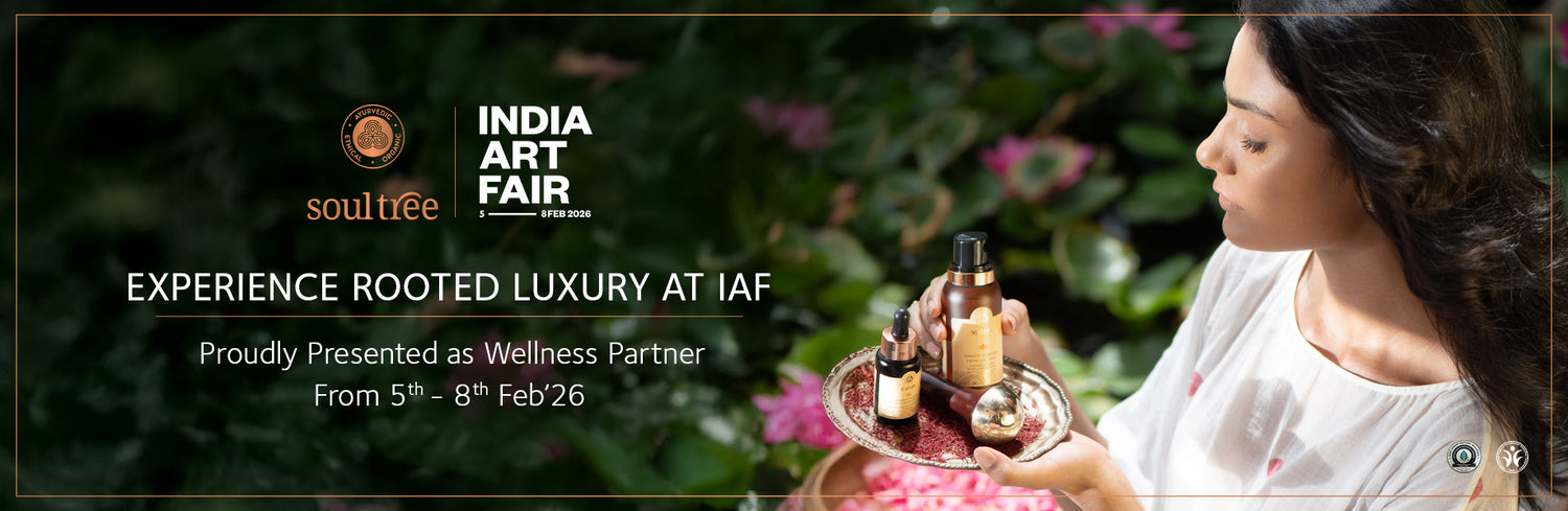 Web Banner copy 4.jpg__PID:9e933cf7-db45-4768-80f9-b972915369e2