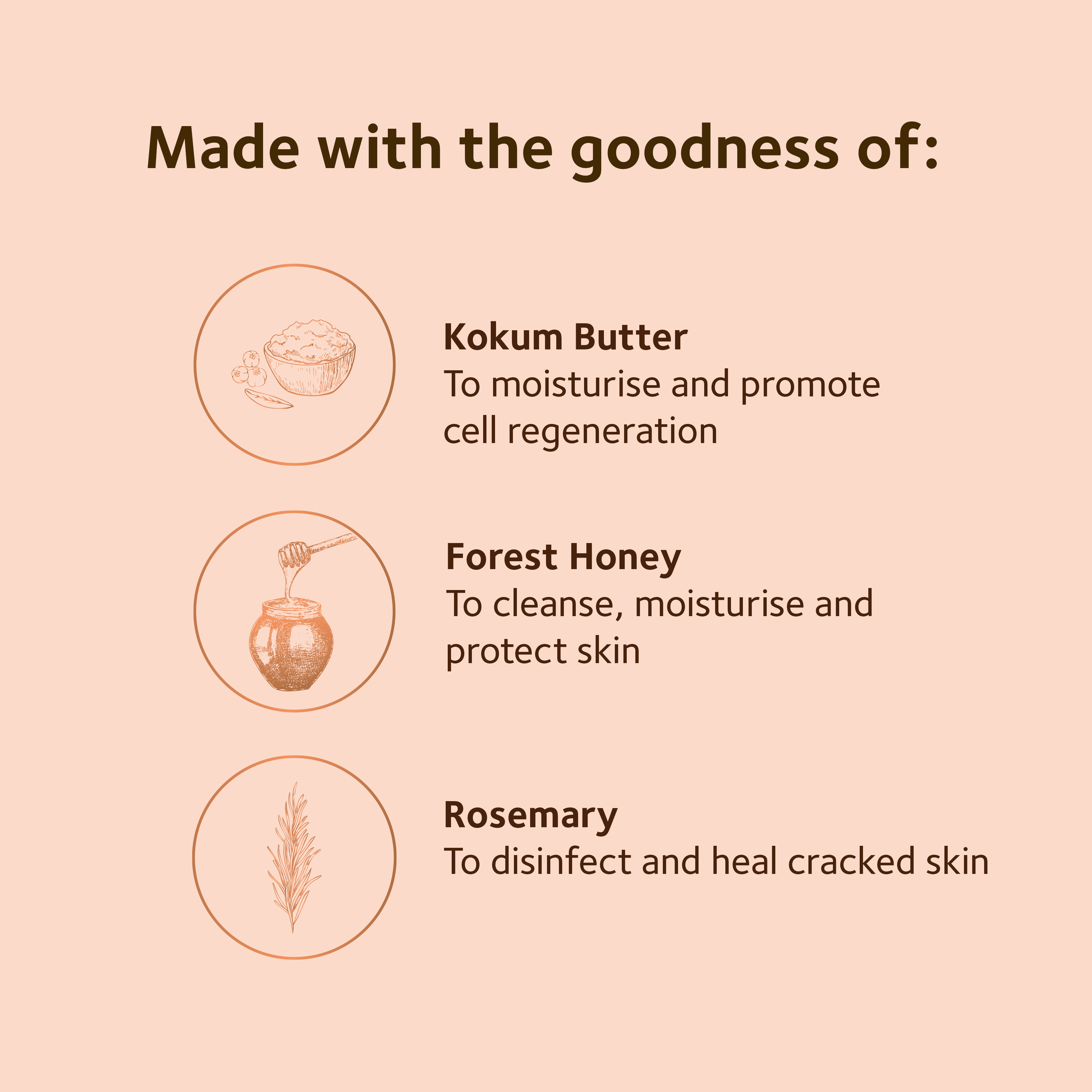 Hand & Foot Cream - Kokum & Honey with Mountain Rosemary - SoulTree