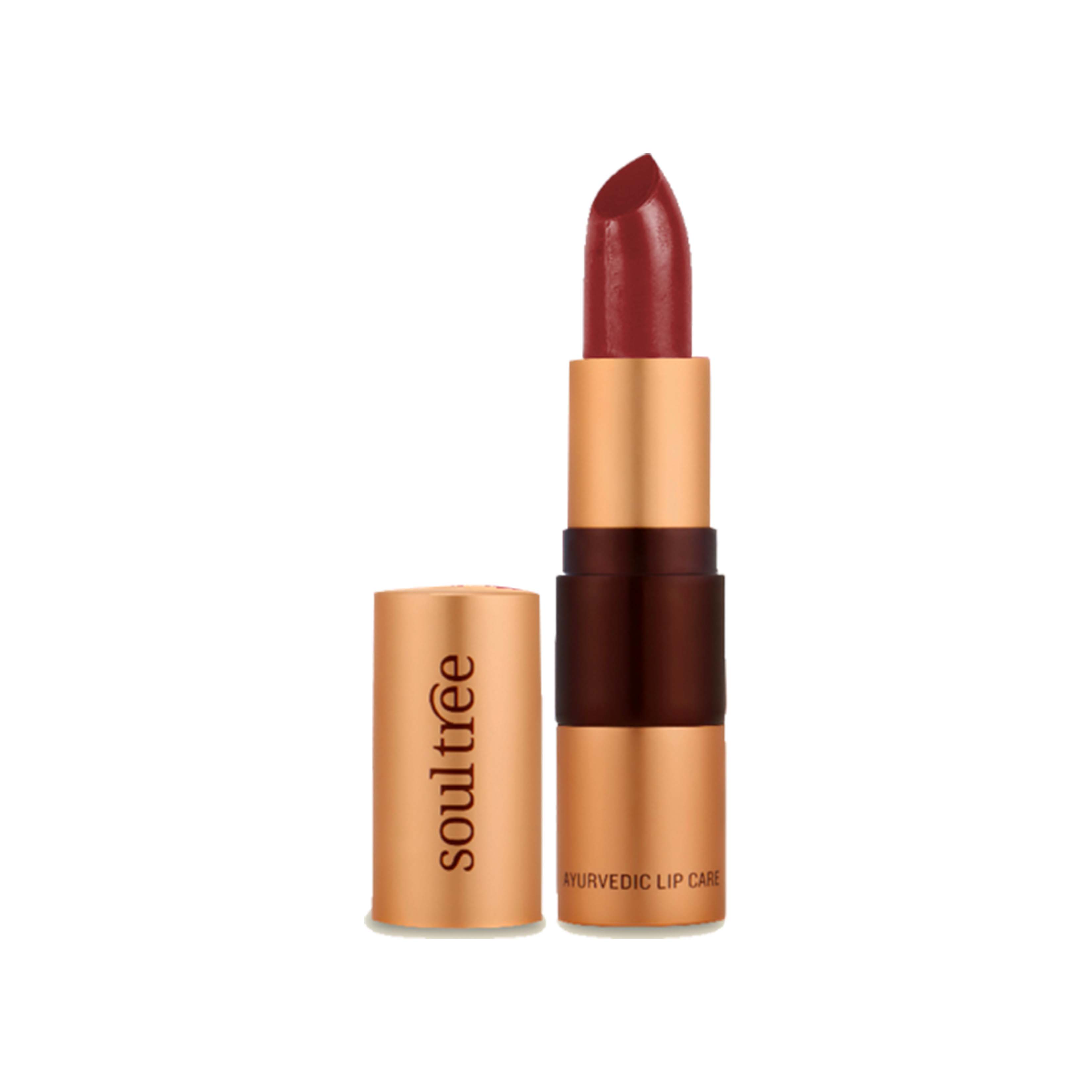 Lipstick Java Brown 810 - SoulTree